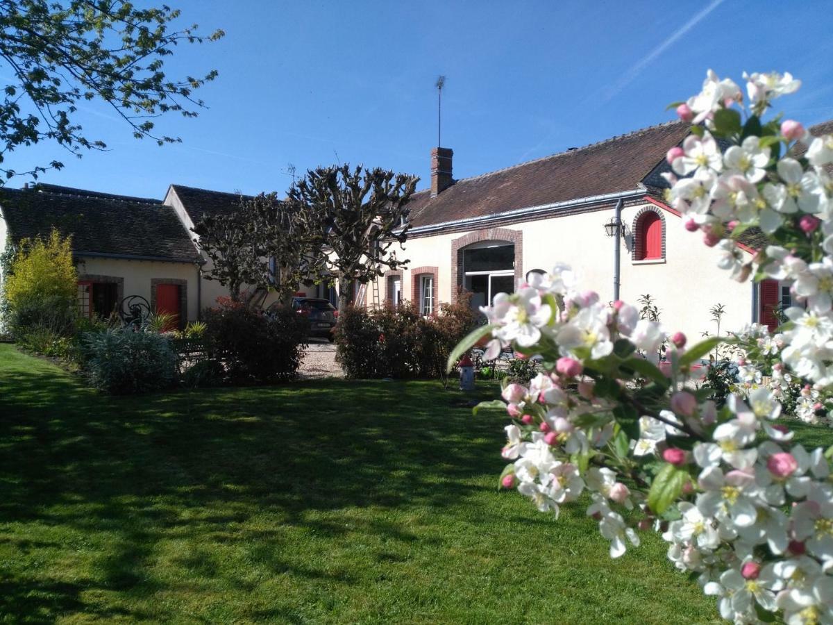 La Cite Des Abeilles Apartamento Villemandeur Exterior foto